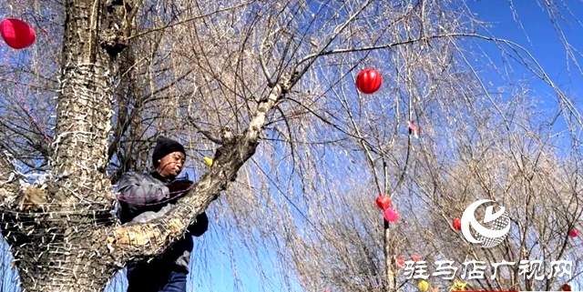 掛彩燈 迎新春 泌陽(yáng)縣城年味濃