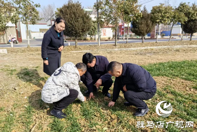 驻马店市农科院：节前走访显关怀 岁寒慰问暖人心