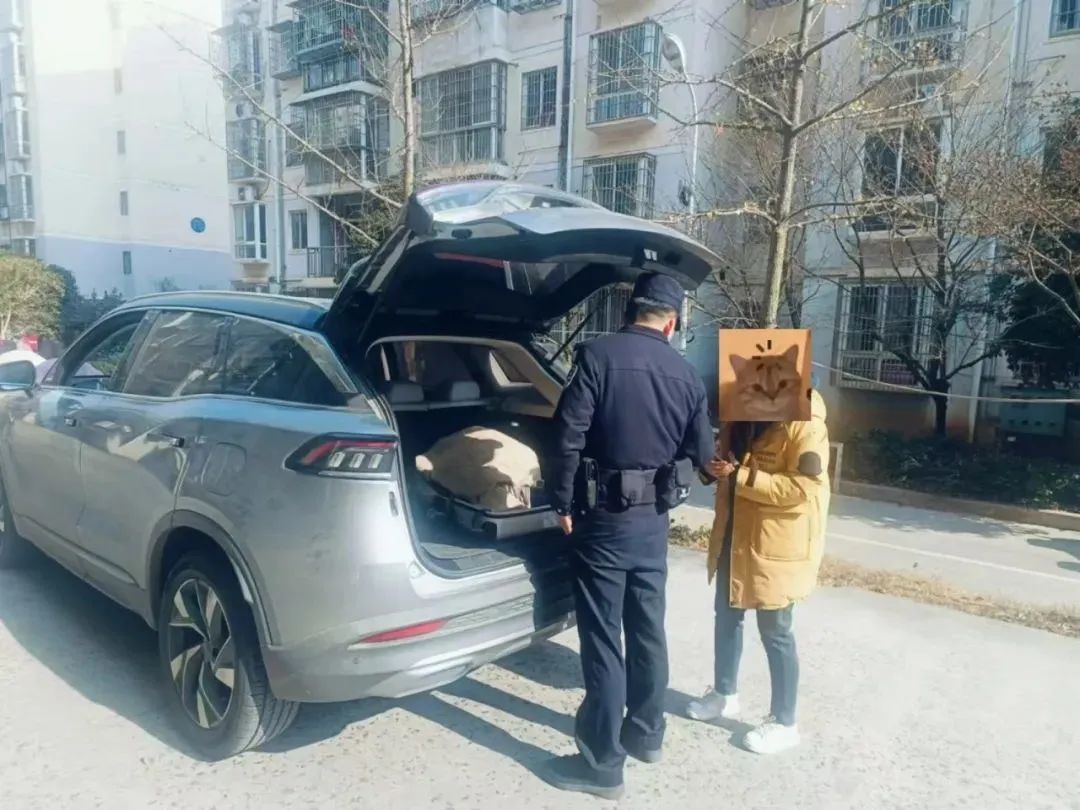 “网约车送现金”可修复数据返现？“这群里除了你，都是托！”