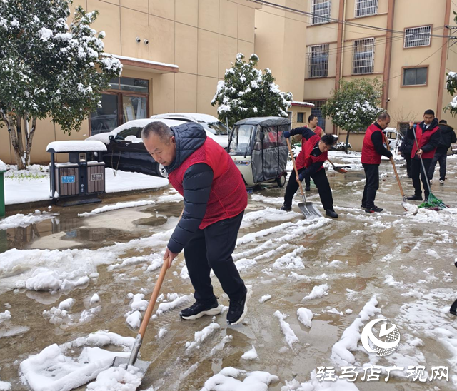 義務掃雪暖人心 志愿服務踐初心