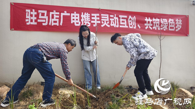 驻马店广播电视台联合企业开展植树活动