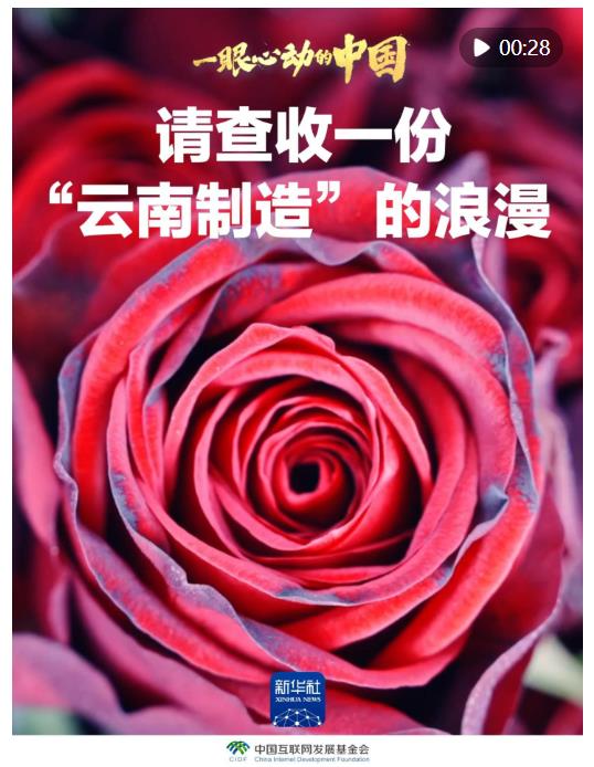 一眼心动的中国｜请查收一份“云南制造”的浪漫
