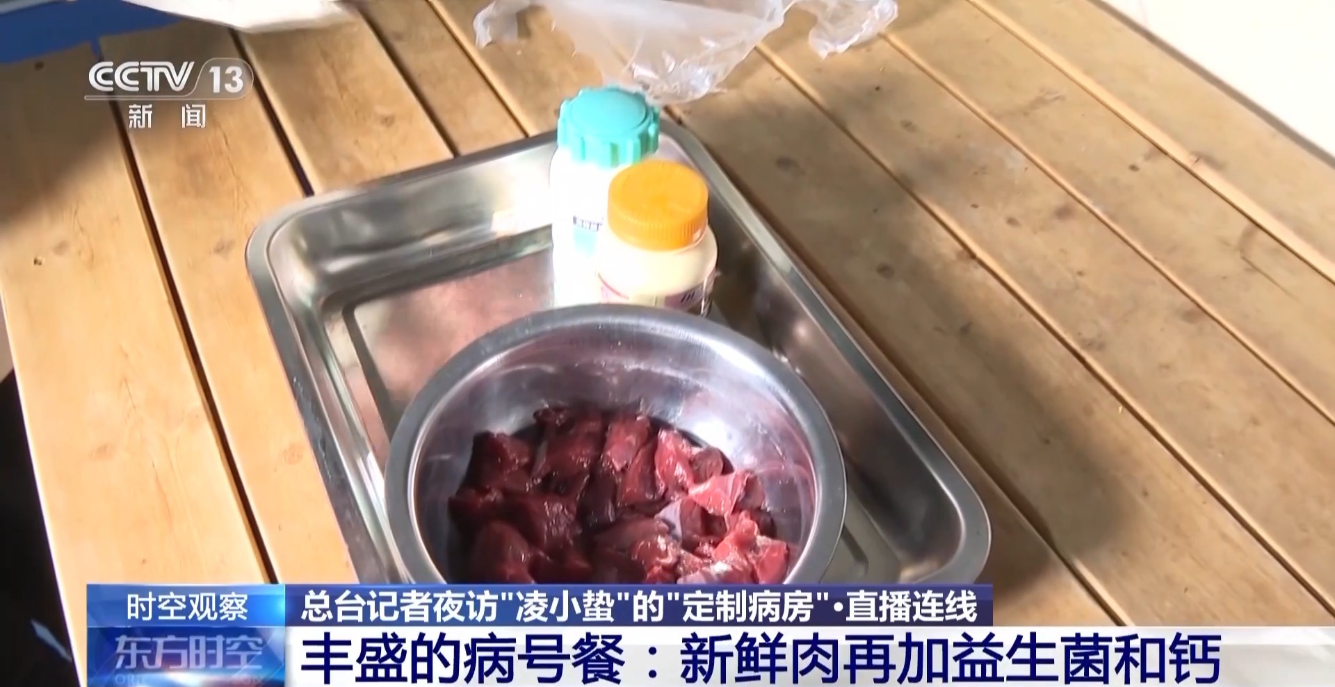 “命悬一线”的小雪豹“凌小蛰”做CT了 最新救治情况→