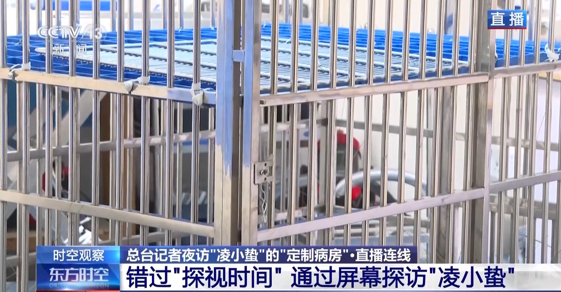 “命悬一线”的小雪豹“凌小蛰”做CT了 最新救治情况→