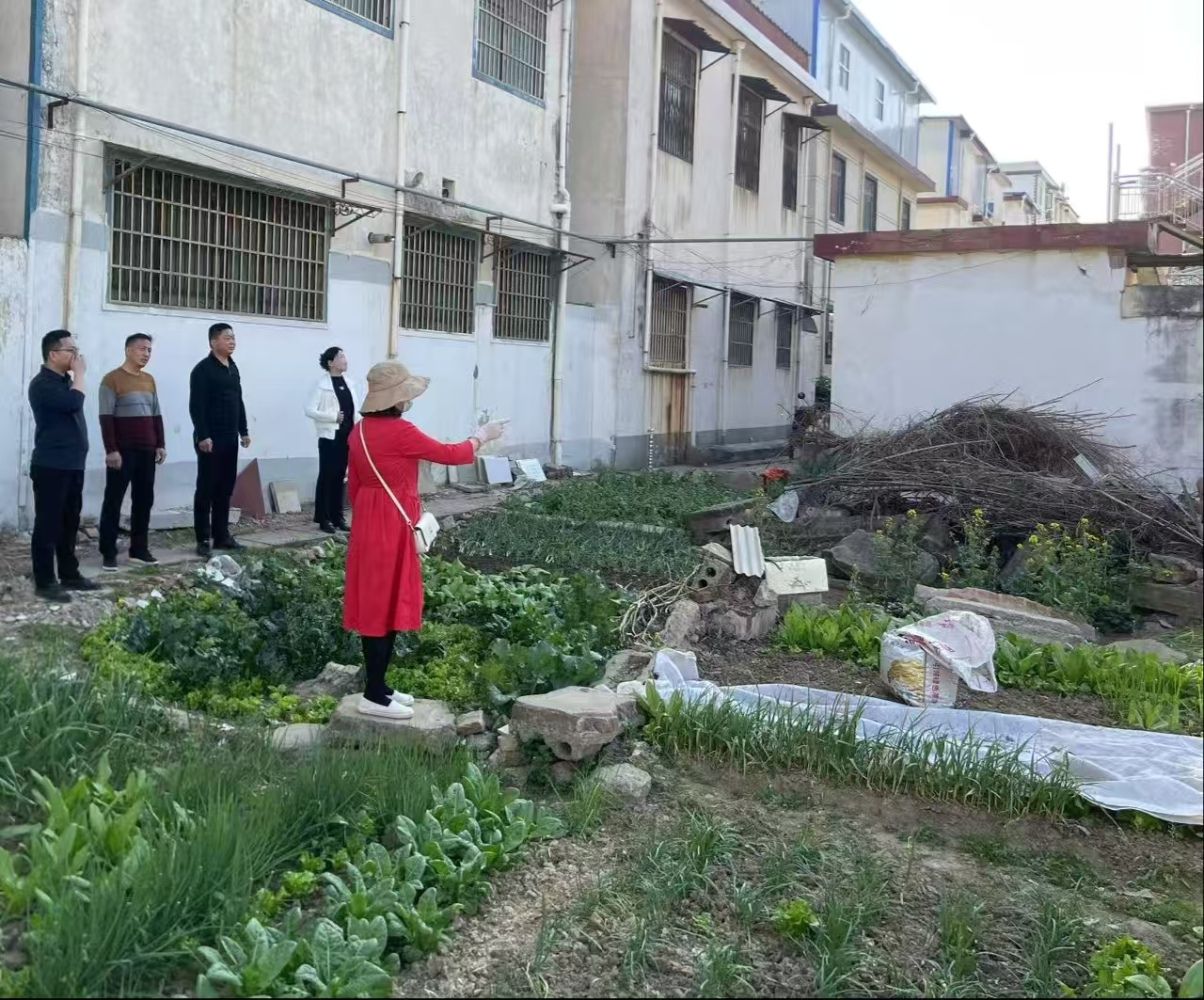 正阳县真阳街道开展禁种铲毒踏查活动