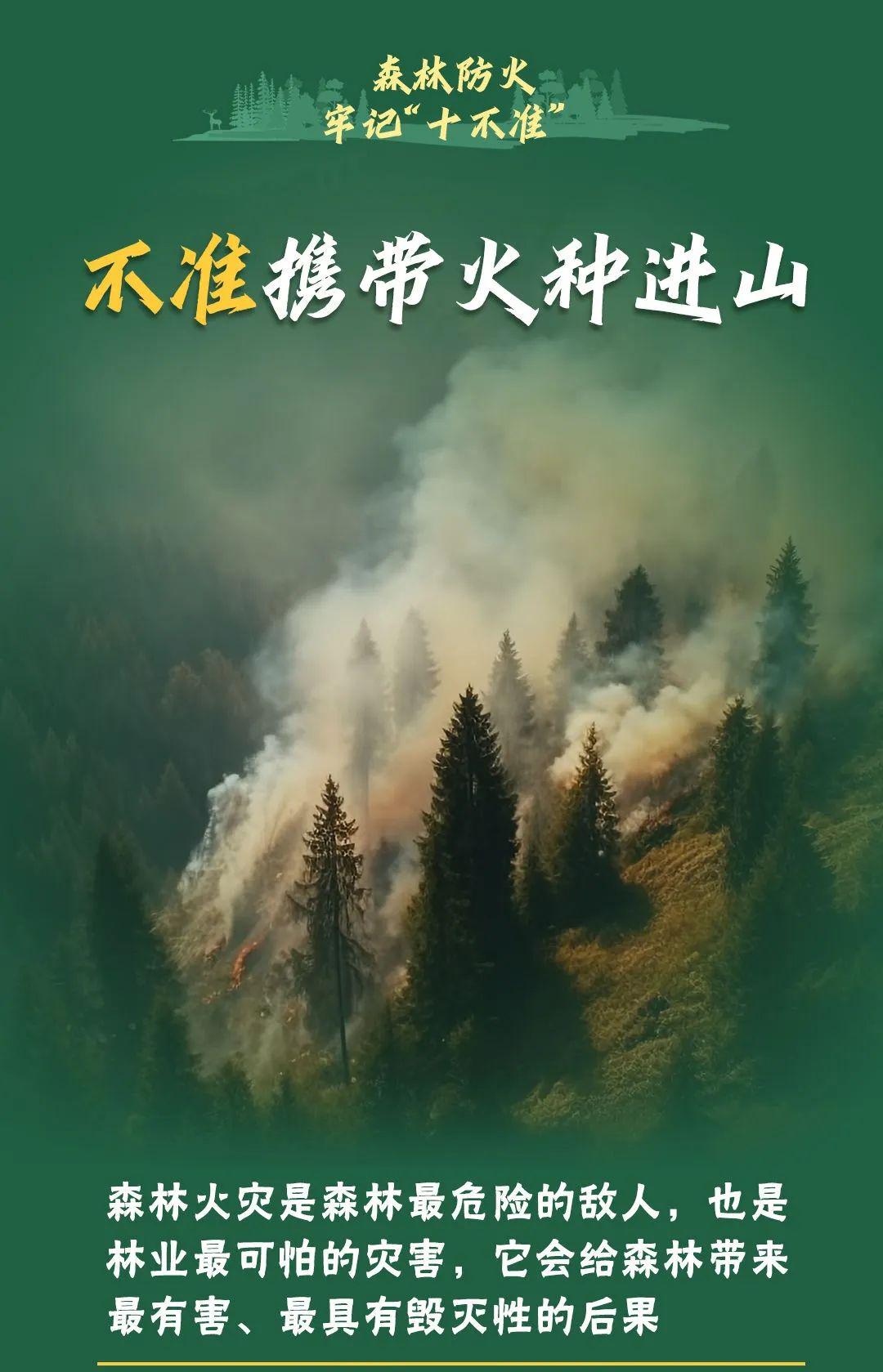 山火连发，原因公布！多地拉响红色预警→