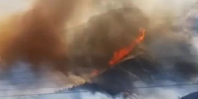 山火连发，原因公布！多地拉响红色预警→