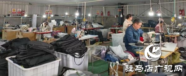 遂平县沈寨镇沈庄村：党建引领绘就乡村振兴新图景