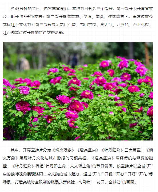 今晚8点，第42届中国洛阳牡丹文化节线上开幕直播特别节目上演