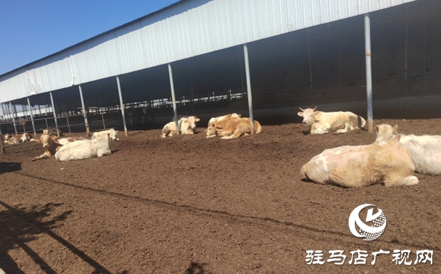 驻马店市动物防疫检疫中心发布4月份动物预警预报