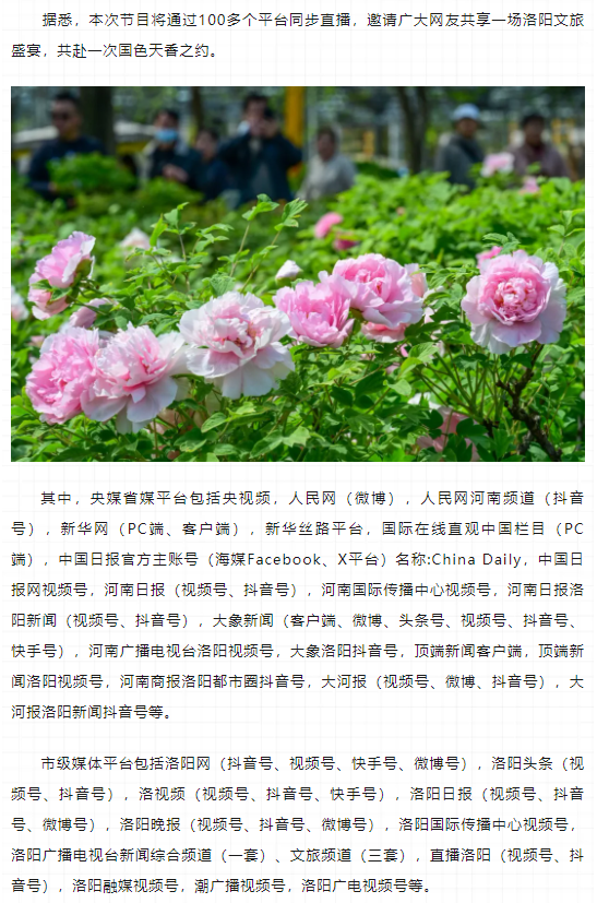 今晚8点，第42届中国洛阳牡丹文化节线上开幕直播特别节目上演