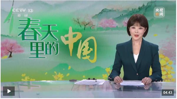 春天里的中国 河南 8500万亩小麦正值拔节期