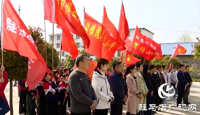 正阳县陡沟镇开展清明祭扫活动
