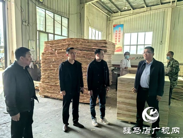 平舆县辛店乡积极开展辖区企业安全生产大走访活动
