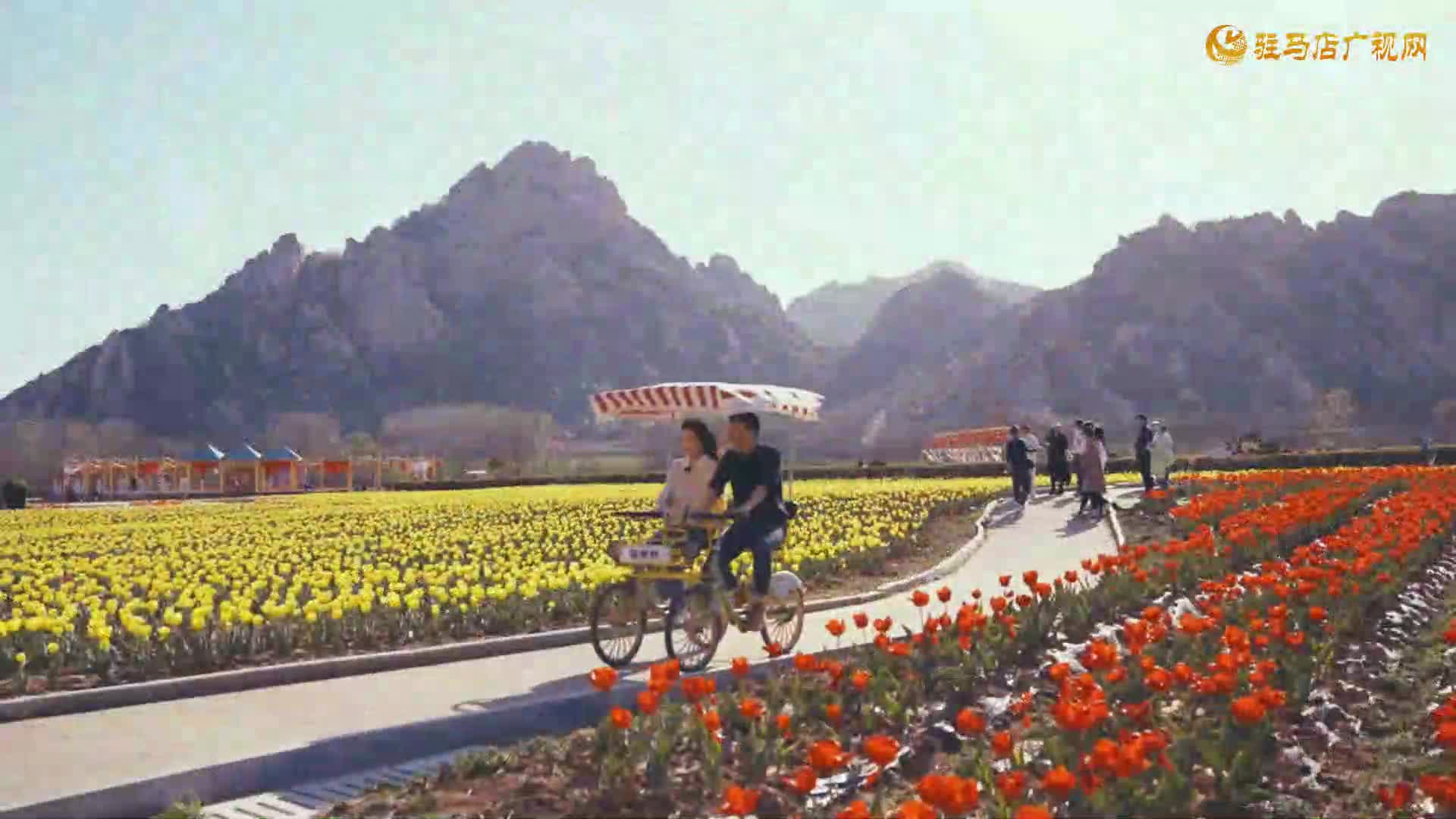 清明：节气与节日的千年交融