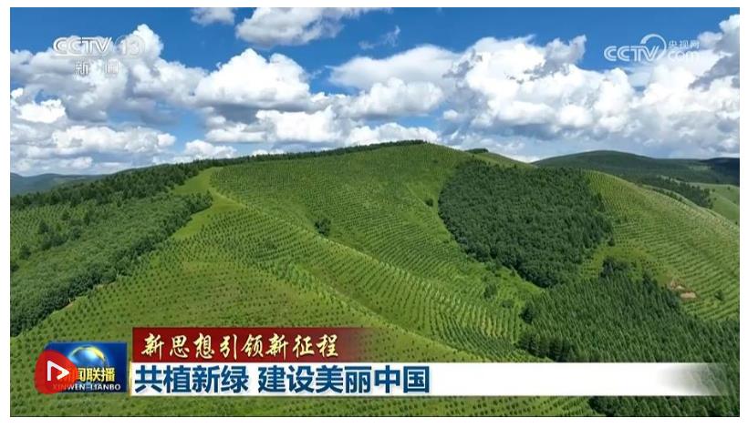 【新思想引领新征程】共植新绿 建设美丽中国