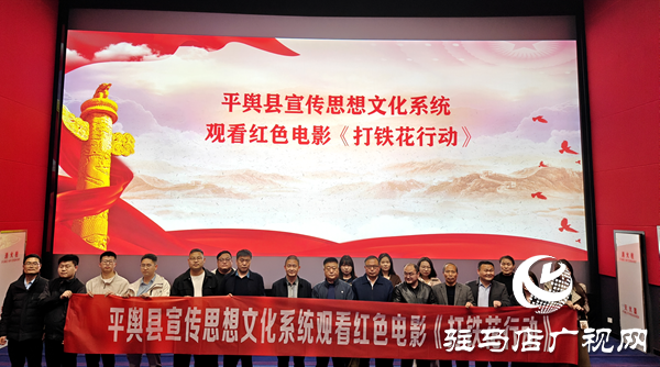 平舆县开展“我们的节日·清明”红色观影活动