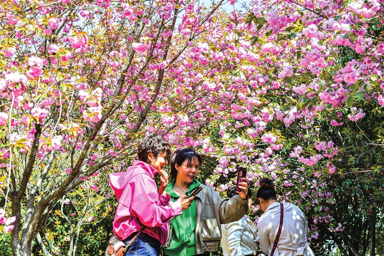 农文旅融合赋能乡村振兴