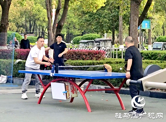 暖意袭人！驻马店本周气温冲击30℃