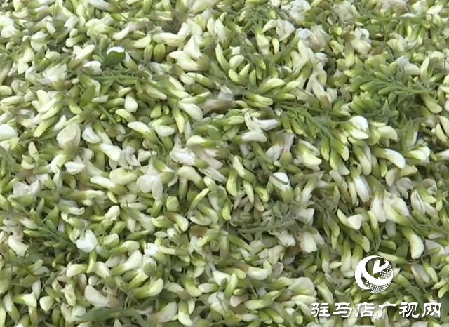春天的味道！槐花