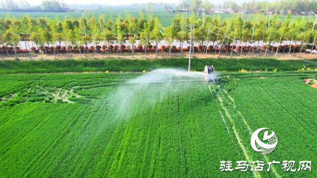 正阳县：科技春管护麦长 精准滴灌保丰年