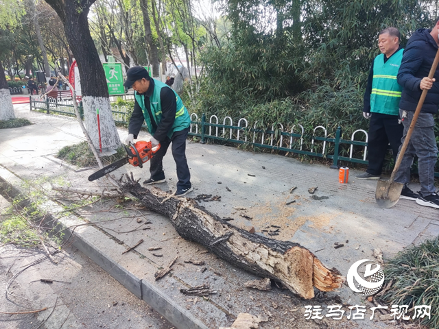  开发区城市管理局：防治飞絮解民忧