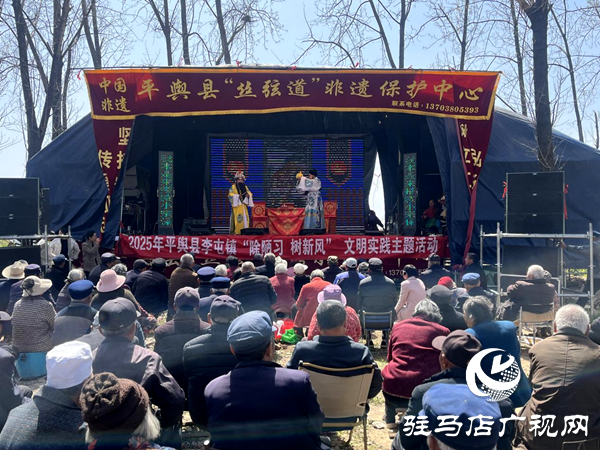 平舆县李屯镇开展2025年“除陋习 树新风”文明实践主题活动  