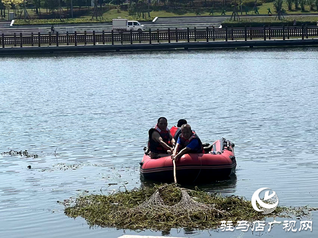 守护一城碧水！确山县住建局清淤除草保河畅水清