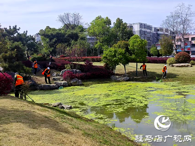 守护一城碧水！确山县住建局清淤除草保河畅水清