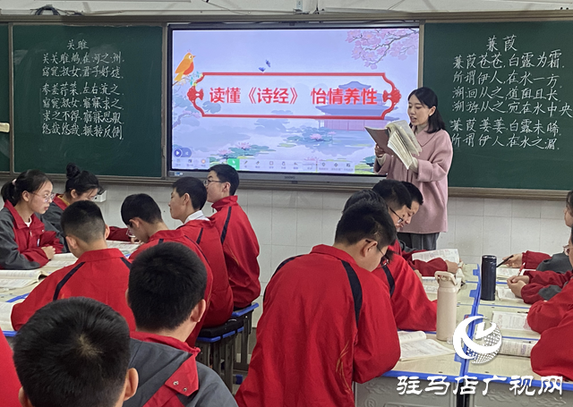 崔苗：春风化雨育新苗 提灯引路谱新章
