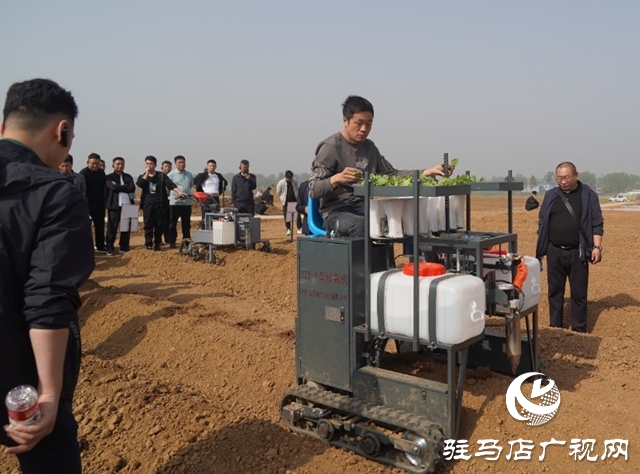 全省烟叶移栽环节农机农艺融合现场观摩交流会在泌阳县召开