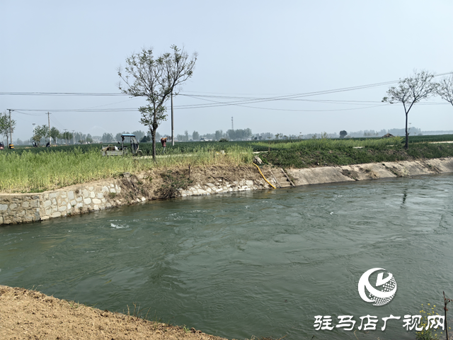 驿城区沙河店镇：干群联动保春管 科学浇水护粮安全