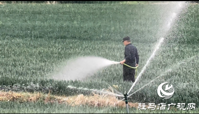 驿城区板桥水库开闸放水 助力农田灌溉