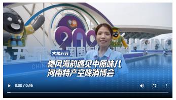 椰风海韵遇见中原味儿 河南特产空降消博会
