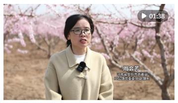 河南：“春日经济”点燃消费市场新活力