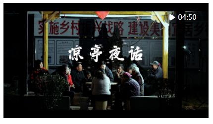 微纪录片｜凉亭夜话