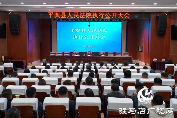 平舆县人民法院：召开执行公开大会 架起司法为民“连心桥”