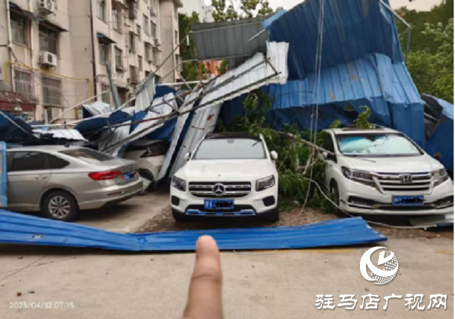 大风天气车辆受损  中国人寿财险驻马店公司高效救援 