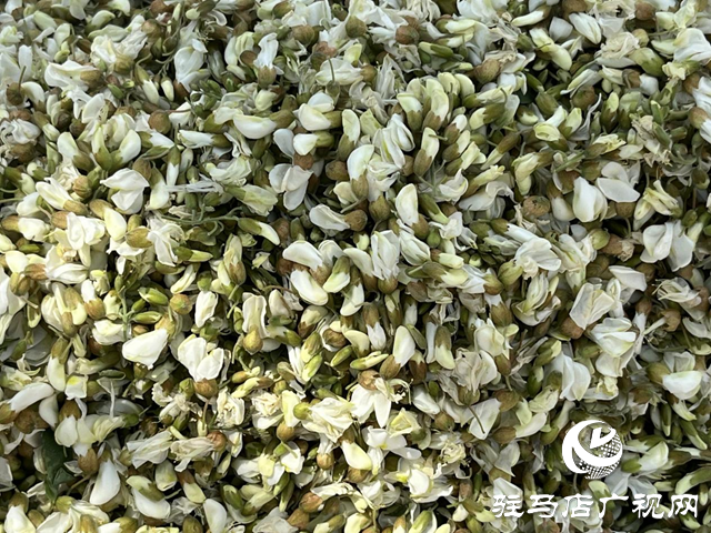 洋槐花味道虽美 但四类人群食用需谨慎