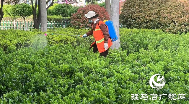  示范区综合执法大队：开展病虫害防治 筑牢园林安全屏障