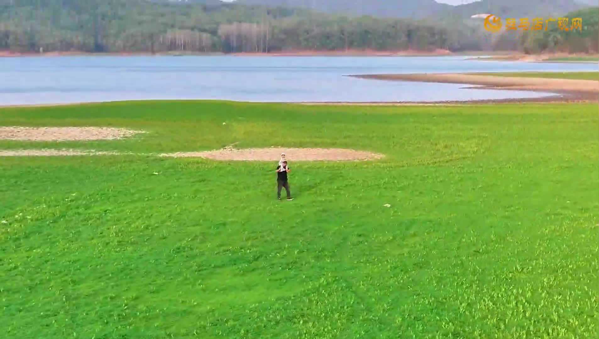【大美天中】确山县薄山湖：碧波潋滟青山映 秘境寻春绿毯迎