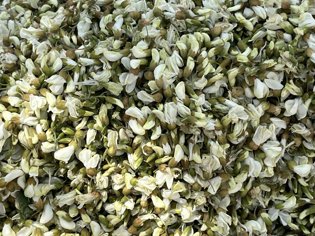 洋槐花味道虽美 但四类人群食用需谨慎