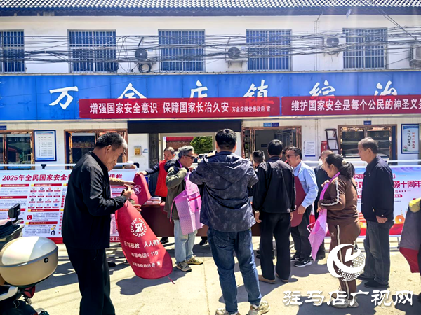 平舆县万金店镇开展国家安全教育主题普法宣传活动
