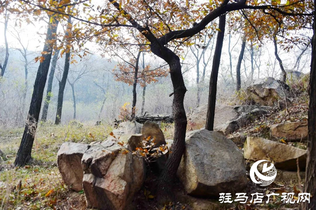 泌阳老鹰山：四季美如油画