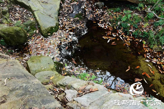 泌阳老鹰山：四季美如油画