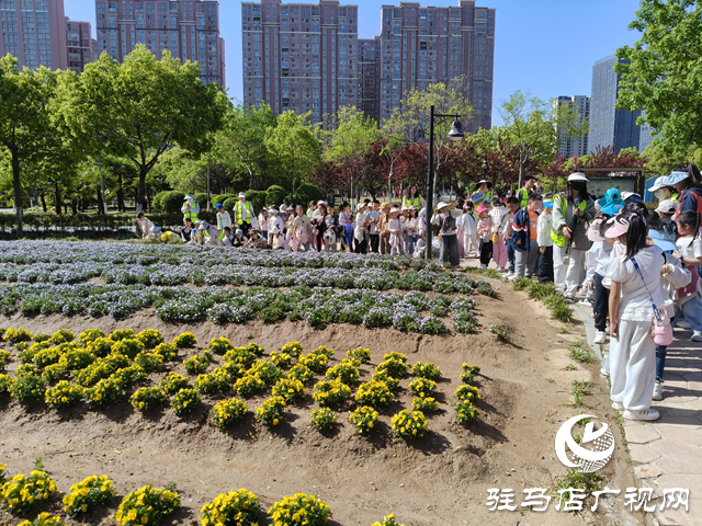 驻马店经济开发区金雀路小学举行徒步研学活动