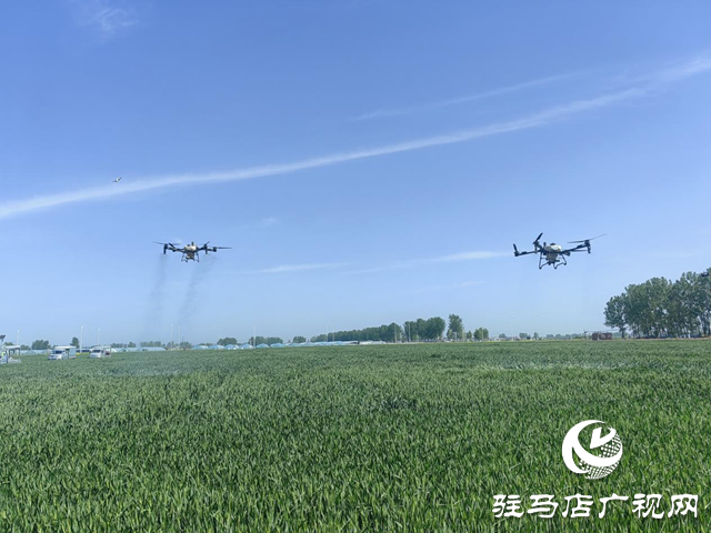 驿城区水屯镇：科技赋能春耕 智慧护航麦田