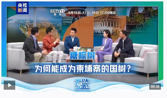 互鉴丨双向奔赴 真心浇灌 中柬“友谊之树”根深叶茂
