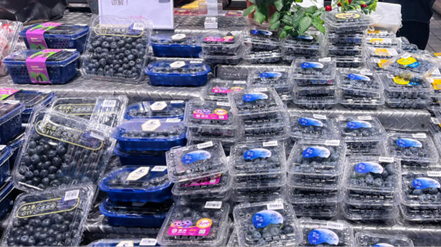 国产蓝莓大量上市 从 “水果贵族”变为亲民爆品