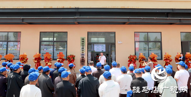 驿城区数字农业服务中心正式启动